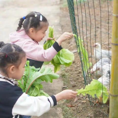 2024向往的农场～青蓝农家乐一日体验营