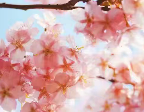 以物为喜，安居乐业 【广上物业】