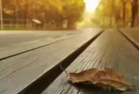 【金秋十月，温暖守护】 广上物业10月份工作美篇