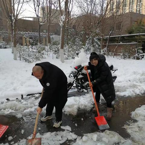 “铲雪除冰在行动，社区服务暖人心”华著君和社区协同物业、志愿者开展除雪行动