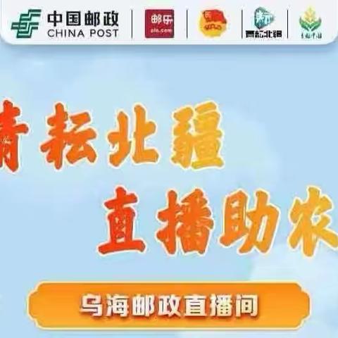 共青团乌海邮政分公司委员会与乌海市三区团委联合开展“青耘北疆，直播助农”活动