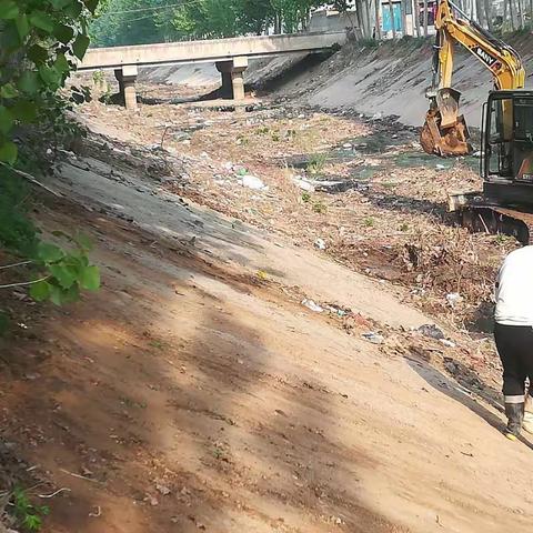 李家疃镇扎实推进河渠清理整治工作