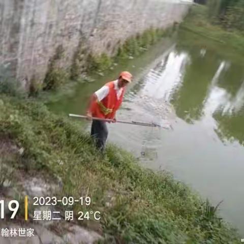 持续推进河长制工作，加强“四乱”清理整治