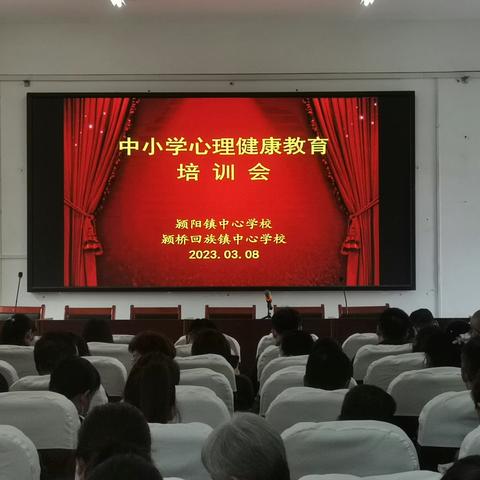 颍阳镇中小学心理健康培训会