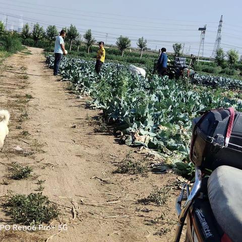 【我为群众办实事】萨一社区：土地纠纷巧调解 为民服务记心间