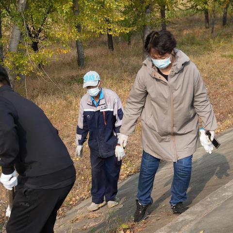 大民街道2024年9月29日工作简报