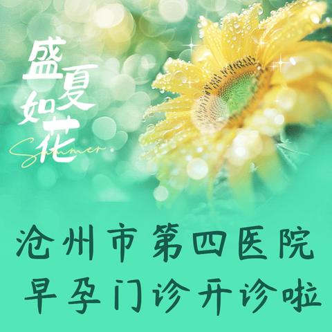 沧州市第四医院 ‍ 早孕门诊开诊啦
