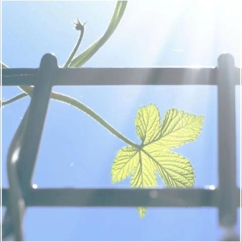 阳光体育强体魄课间跑操展风采