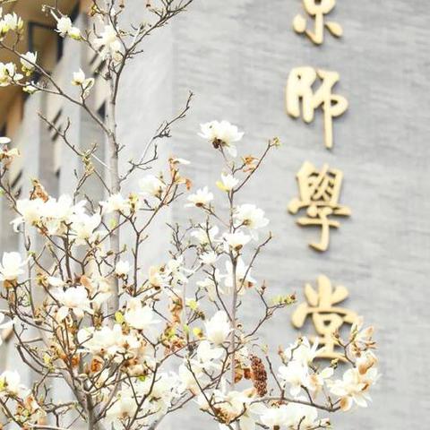 2024国培计划•内蒙古自治区“一对一”精准帮扶 | 教研员综合能力提升之旅——培训第六天纪实