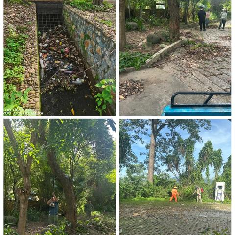 霸王岭社区联合霸王岭森发公司、侨银保洁公司开展主题党日