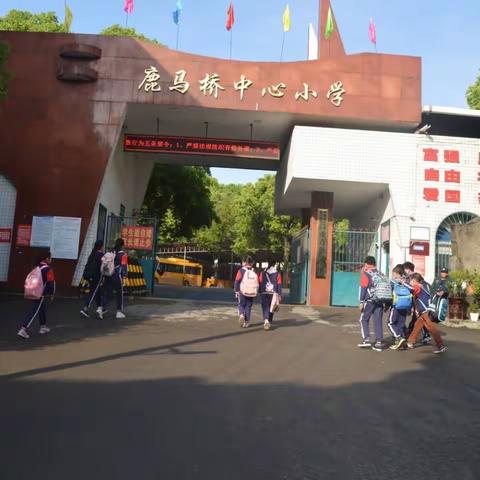 开学啦！开学啦！——鹿马桥中心小学2023年秋季学期开学入学须知