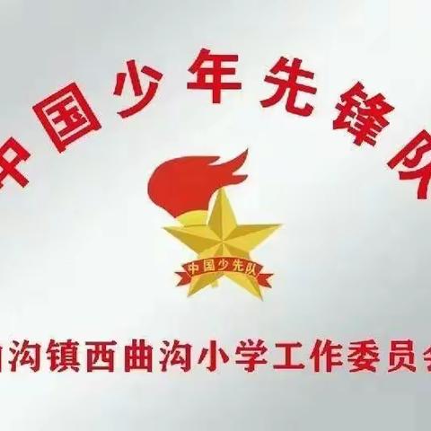 西曲沟小学第五届少代会圆满落幕