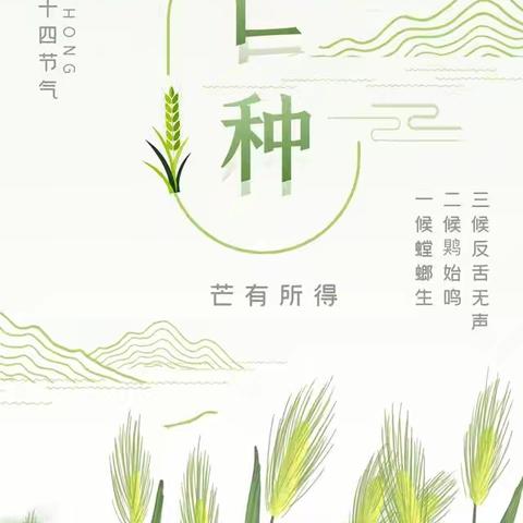 【生态十小•节气物语】忙有所获，种有所得——西安市雁塔区第十小学二十四节气之“芒种”系列实践活动