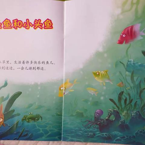 希望幼儿园⭐小三班⭐每日故事分享《大头鱼和小头鱼》