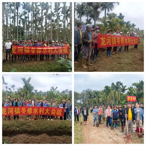 龙河镇：冬修水利进行时，党群齐心焕新渠