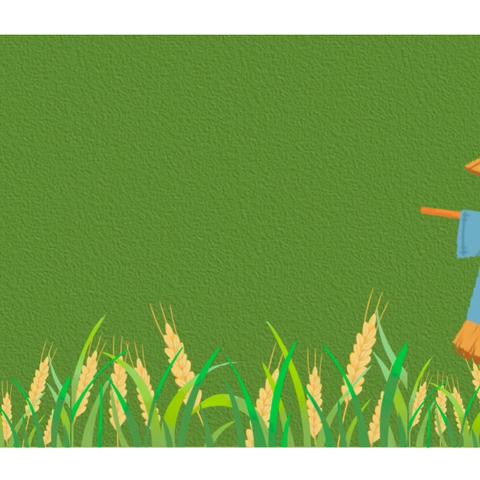 芒种至，盛夏始——二十四节气之芒种