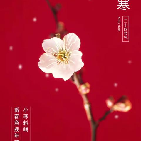 【二十四节气】别样小寒  乐暖冬日——涵江区白塘中心幼儿园小寒节日主题活动