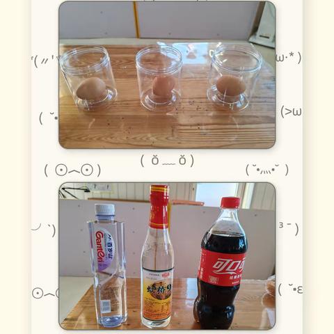 科学探索《变软的鸡蛋壳》—爱牙护牙从点滴开始