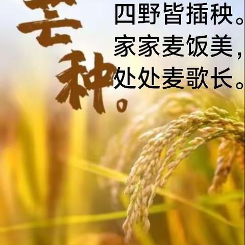 芒种至，仲夏始—兴化市永丰镇中心幼儿园，芒种主题活动