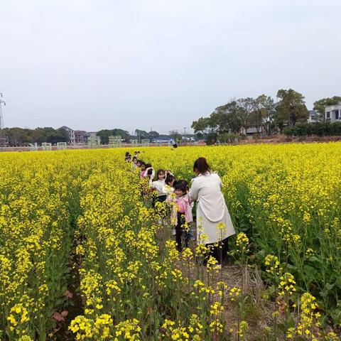 “温馨三月天，浓情三八节”——朱坑镇童心幼儿园三八节主题活动