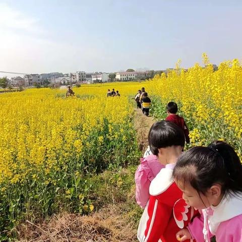 “花开有期花逢春，童心相伴尔相随”—记朱坑镇童心幼儿园中班观赏油菜花之参观西童古戏台活动