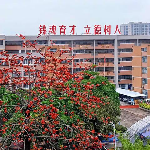 头盔相随	安全相伴	 一一致全区师生员工及学生家长的安全出行倡议书