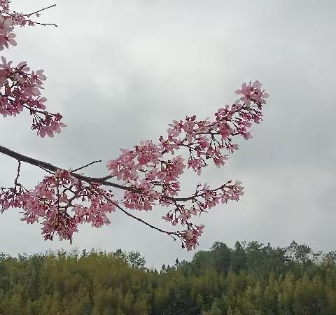 春暖花开    浓情相伴                           ——三八妇女节活动记录