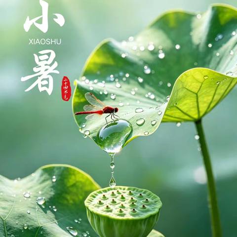 蝉鸣声声，趣迎小暑｜一年级“小暑”节气主题活动纪实