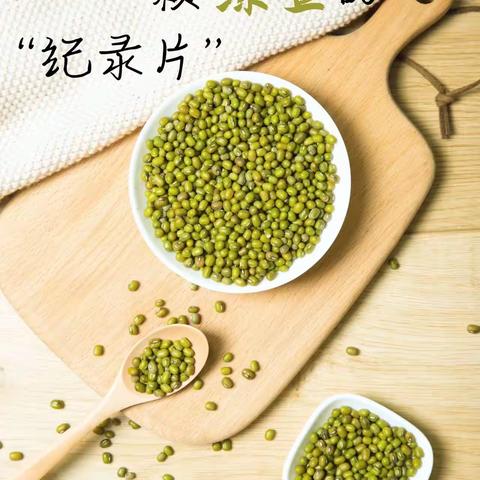 童星总园小一班《绿豆芽成长记》