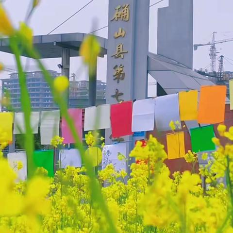 油菜花香浸古诗（三）——确山县第七小学三年级组诗歌诵读会