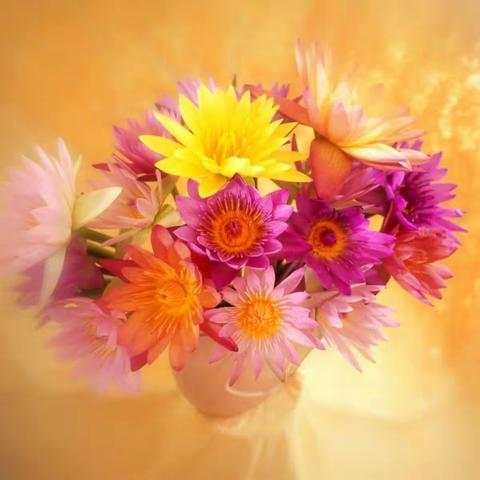 通辽市科尔沁区明仁实验小学二年六班开展“妈妈，您辛苦了！”主题活动