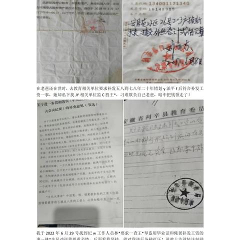 个人求助：姐姐冒用学历打压亲人，来自亳州王女士的经历