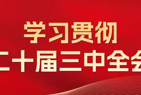 【学习贯彻党的二十届三中全会精神】洪洞县非公党委召开学习贯彻党的二十届三中全会精神宣讲报告会