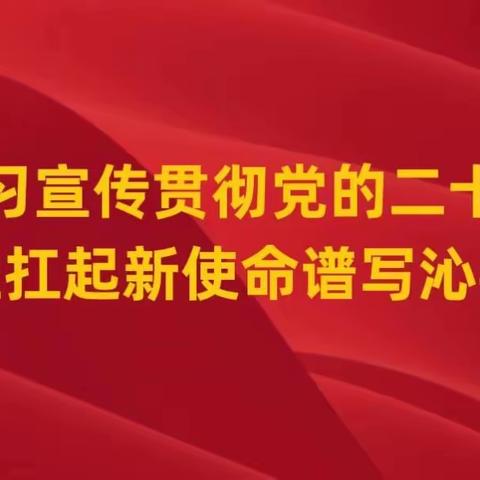 县委督查委员会对“七下八上”关键期防汛工作开展督查