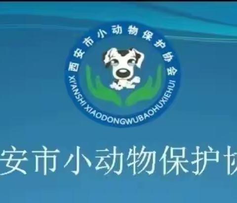 (公示)西安市小动物保护协会2023年11月份基地运营收支情况明细