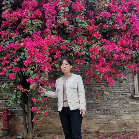 大力弘扬教育家精神，加快建设教育强国——那霍镇小学教育系统2024年国家、省、市、区先进个人事迹简介