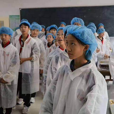 劳动实践助成长