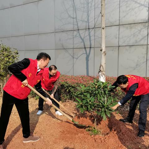 植新绿，寓希望——商城展览支部植树节活动