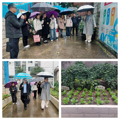 跨区交流探新路   劳动育人启新程 一一金秀瑶族自治县教育体育局组团赴柳州市柳北区雀儿山路小学开展劳动教育教学交流活动