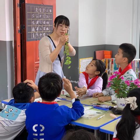 观爬山虎的脚，悟生活的细节美—— 天门市实验小学教联体 湾坝校区 语文教研活动