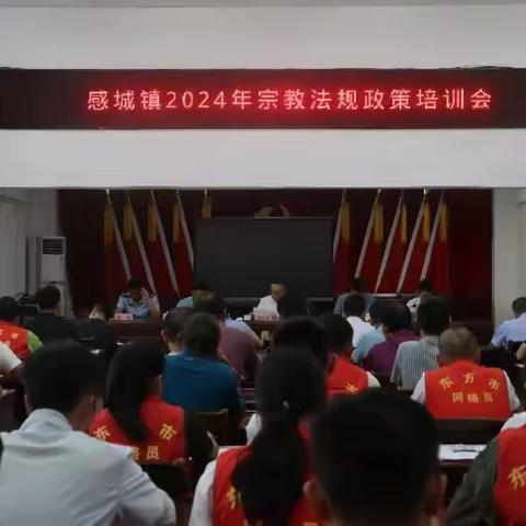 东方市感城镇组织开展民族宗教政策法规宣传月活动