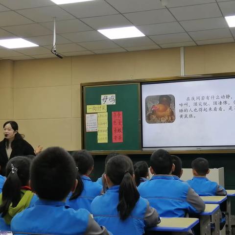 引领赋能，同研共进 ——记码头小学与五小教研交流活动