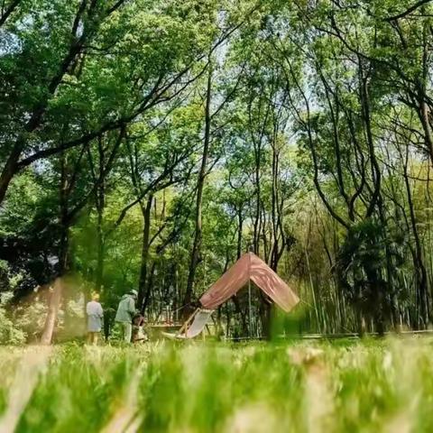 赴一场春天的约会——城北小学工会活动