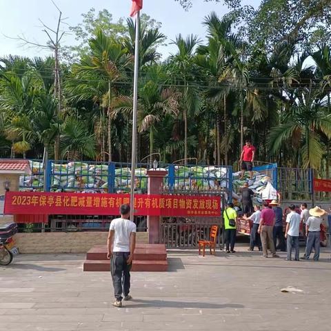 保亭县农业服务中心开展实施化肥减量增施有机肥提升有机质工作暨主题党日活动