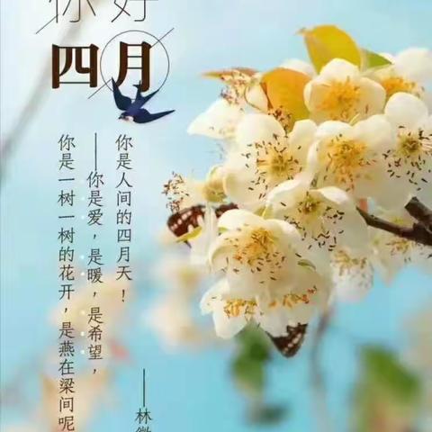 最美四月天，唱响新华篇——凫峄之声教师合唱团排练纪实（三）