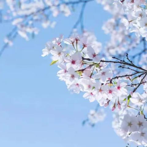 【武水集团汉阳管线所】开展春季安全生产大检查