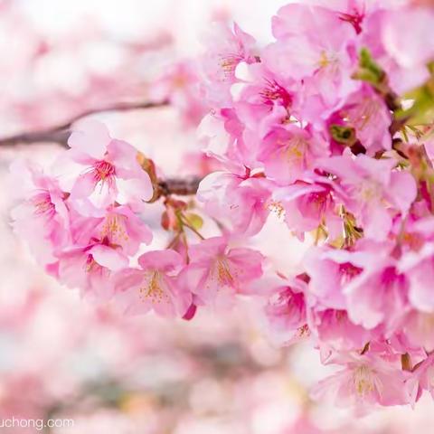 【武水集团汉阳管线所】严把工程管理 保障居民用水