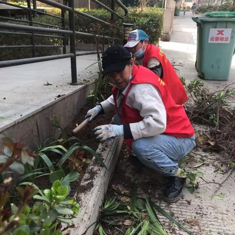 午朝门08网格在辖区内开展创文巩卫工作