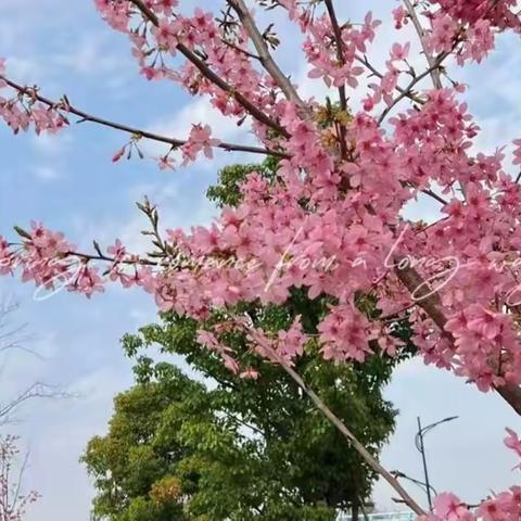 情暖女神节，遇见最美的自己——兰溪二中三八节活动