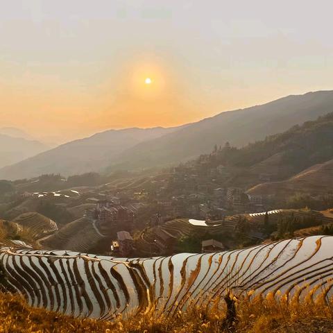 龙脊梯田印象